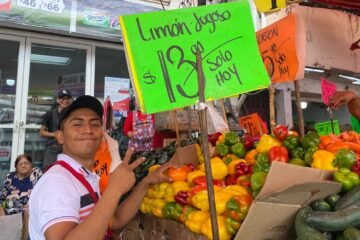 ¡Baja el limón pero el aguacate se va al cielo! Así los precios en el Mercado Adolfo López Mateos de Cuernavaca