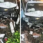 Impactante! Pareja alcoholizada destroza jardinera en Jojutla y desata riña callejera