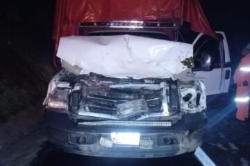 Conductor choca contra una vaca en la autopista de Tlaltizapán y sobrevive de milagro