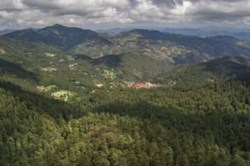 Rescatan en Hidalgo a turistas de Guanajuato que se extraviaron durante caminata en bosque de Mineral del Chico