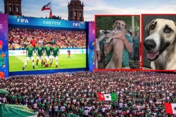 La celebración por el triunfo de México tuvo un final inesperado: familia encuentra a su perrita desaparecida gracias a una transmisión en vivo