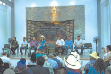 Mezcal de Puente de Ixtla: Certificación Oficial para Conquistar el Mercado Nacional