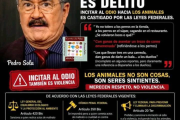 Funan A Pedro Sola Tras Polémicos Comentarios Sobre Lomitos: Dan Ganas De Darles Carne Envenenada