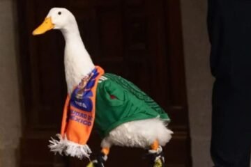 El famoso pato Merlín estrena su propia línea de tenis