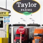 Taylor Farms retira lechuga mexicana en 27 estados de EU por brote de ciclosporiasis