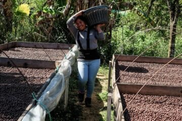 El Niño amenaza con disparar el precio de las materias primas