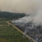 UE envía aviones para combatir el incendio forestal sin precedentes en Bélgica