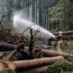 Bélgica controla el mayor incendio forestal de su historia